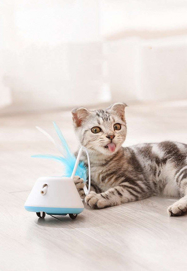 Pet Electric Toy LED Infrared Cat Stick - Giz & Mos Shop